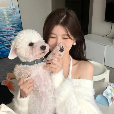 布达佩斯的天使