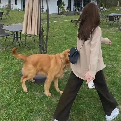 波士顿连环命案